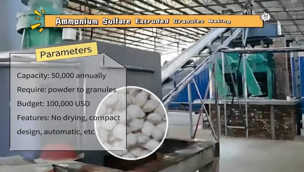 Ammonium Sulfate granules making plant setup